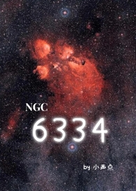 6334小声点笔趣阁